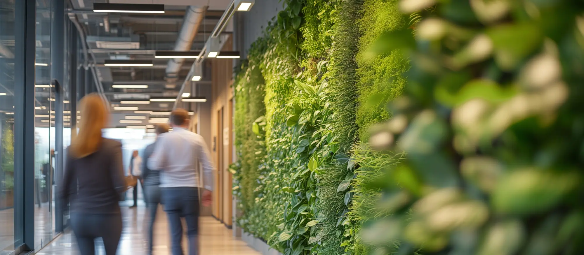 Mennesker som går nedover i et lyst kontorlokale med vegg dekket av grønne planter til høyre